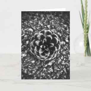 Pine Cone Card
