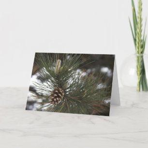 Pine cone card