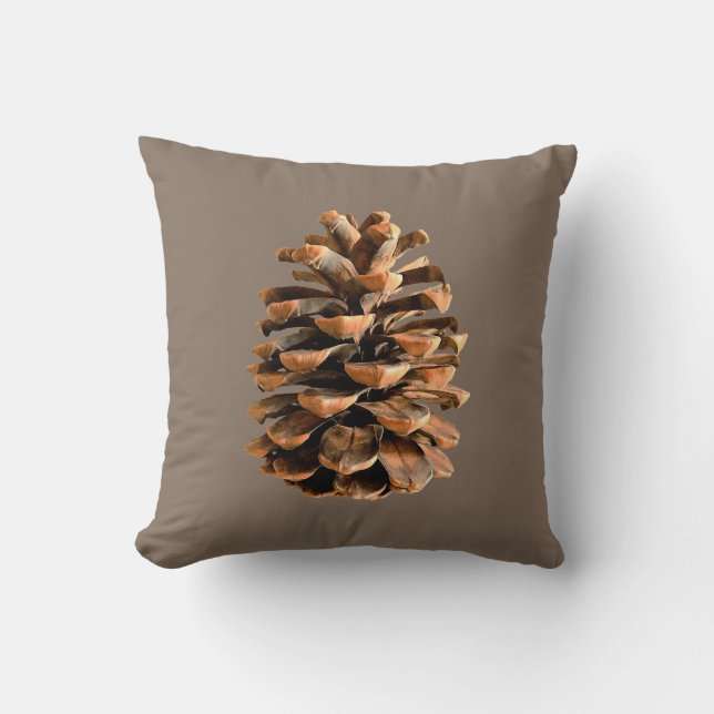 Pine Cone Cushion (Front)