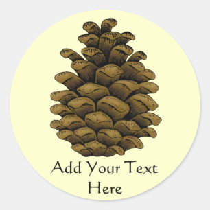 Pine cone Illustration Classic Round Sticker