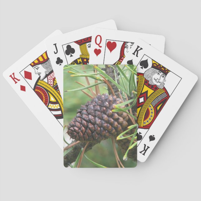 Pine Cone in Yellowstone Playing Cards (Back)