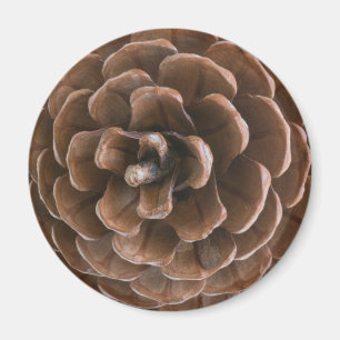 Pine cone magnet