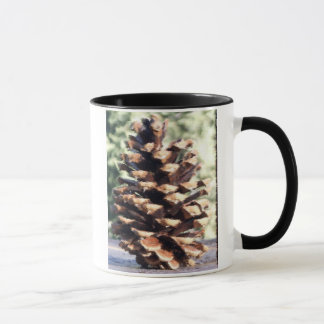 Pine Cone Mug