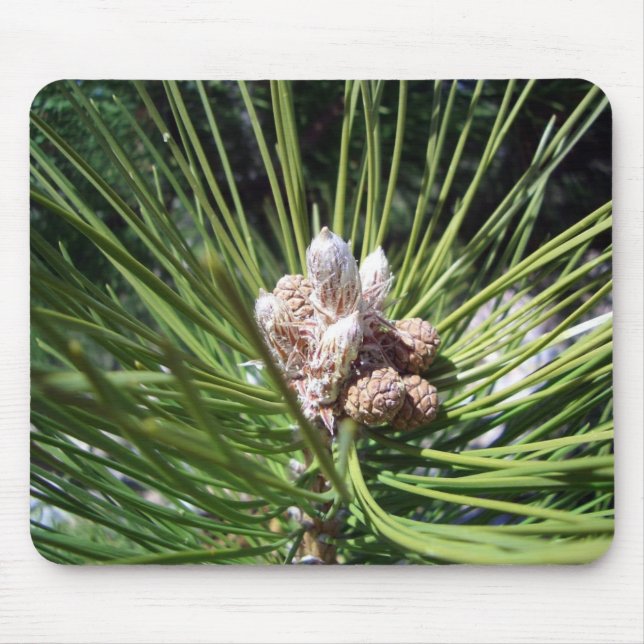 Pine Cone Nuts Mouse Pad (Front)