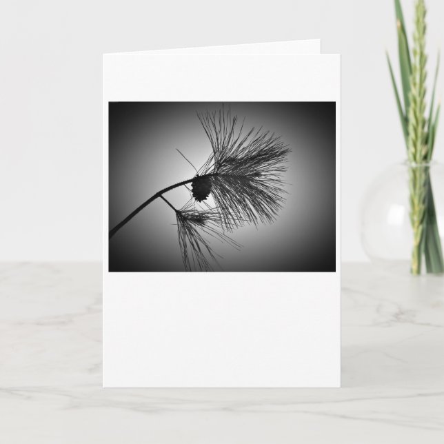 Pine Cone On Branch – Noir, card (Front)