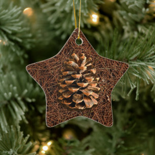 Pine Cone On Fallen Needles Ceramic Ornament