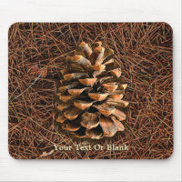 Pine Cone On Fallen Needles