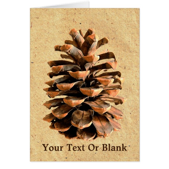 Pine Cone On Parchment (Front)
