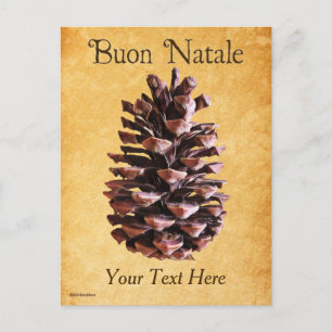 Pine Cone On Vintage Paper - Buon Natale Postcard