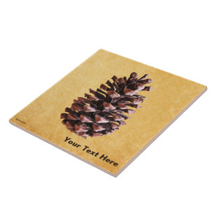 Pine Cone On Vintage Paper Ceramic Tile