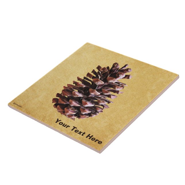 Pine Cone On Vintage Paper Ceramic Tile (Side)