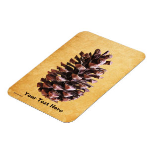 Pine Cone On Vintage Paper Magnet