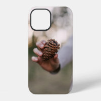 Pine cone outdoors cone tree wood