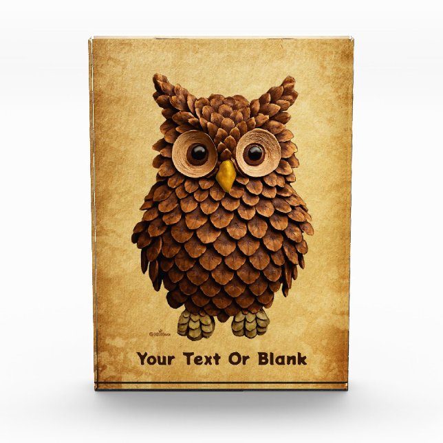 Pine Cone Owl Photo Block (Front)