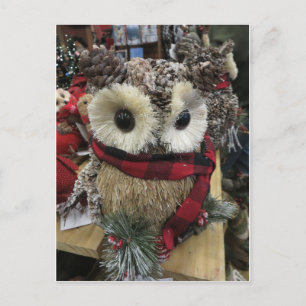 Pine Cone Owl Postcard