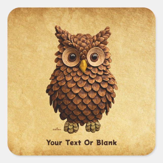 Pine Cone Owl Square Sticker (Front)
