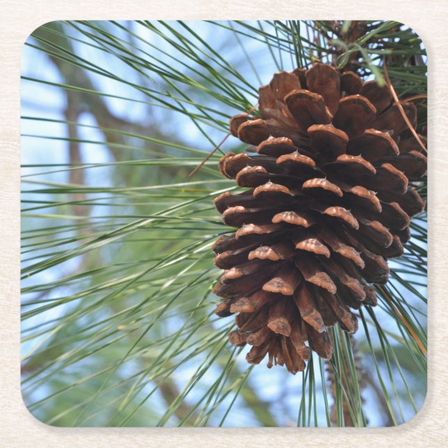 Pine Cone reusable paper Square Paper Coaster (Front)