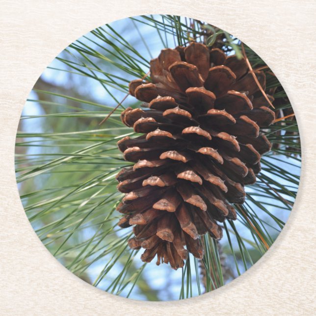 Pine Cone reusable Round Paper Coaster (Front)