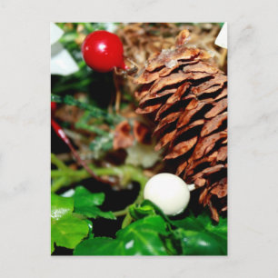 Pine Cone With Ivy Postcard