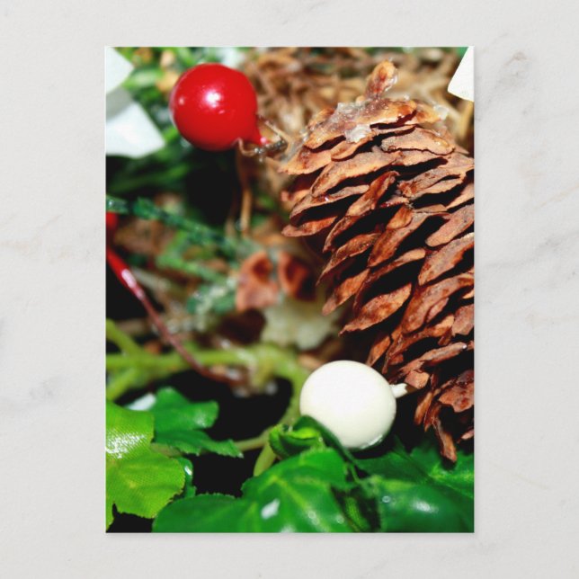 Pine Cone With Ivy Postcard (Front)