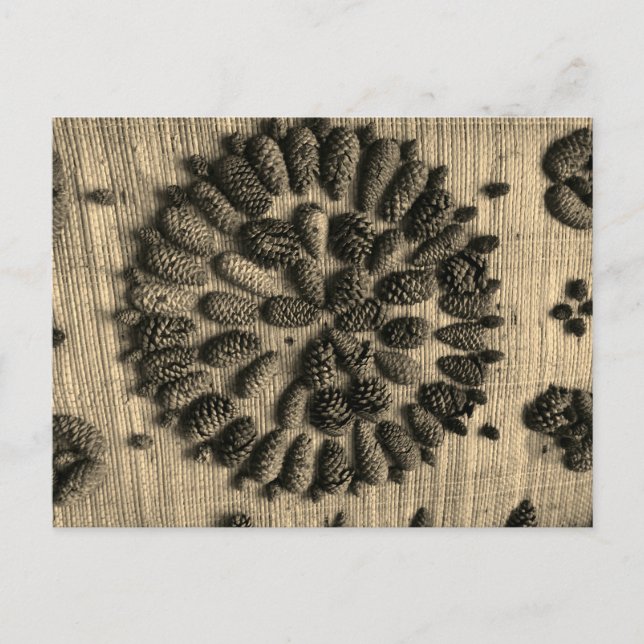 Pine Cones mandala retro photo Postcard (Front)