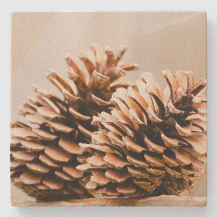 Pine Cones Rustic Country Sandstone Coaster