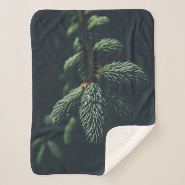 PINE CONES SHERPA BLANKET (Front)