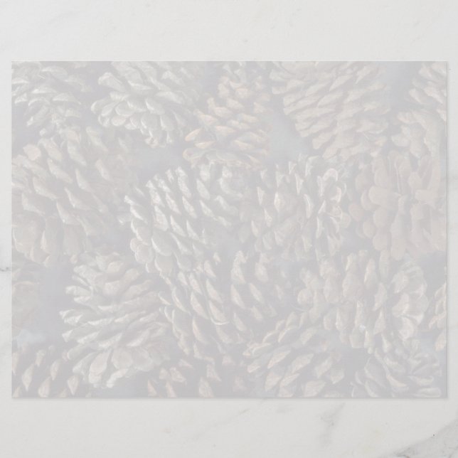 Pine cones texture (Front)