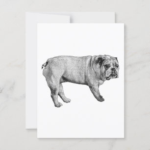 Pine-Edge Postcard