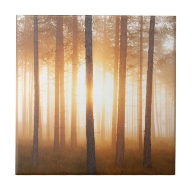 Pine Forest Landscape Ceramic Tile (Front)