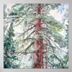Pine Forest Landscape Home Decor Poster