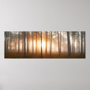 Pine Forest Landscape Poster