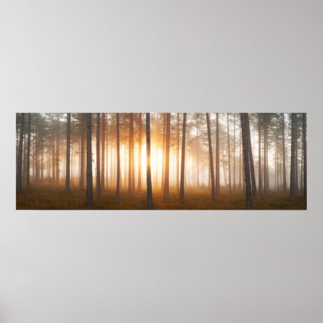 Pine Forest Landscape Poster (Front)