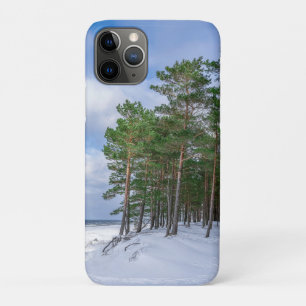 Pine forest near sea coast in Latvia iPhone 11 Pro Case