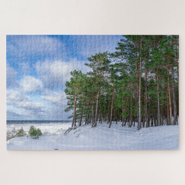Pine forest near sea coast in Latvia Jigsaw Puzzle (Horizontal)
