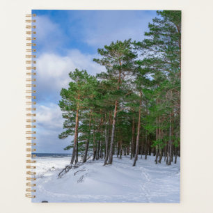 Pine forest near sea coast in Latvia Planner