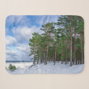 Pine forest near sea coast in Latvia Sherpa Blanket