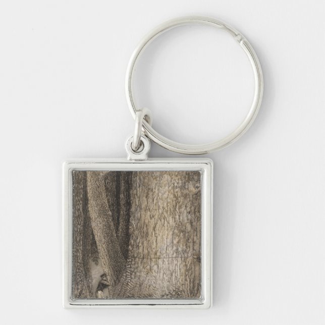 Pine Forest, Oregon Key Ring (Front)