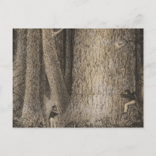 Pine Forest, Oregon Postcard