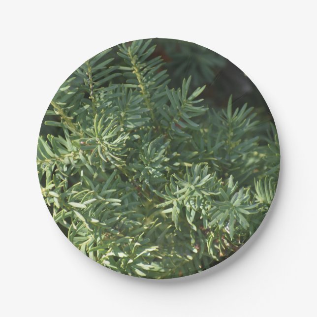 Pine Forest Paper Plate (Front)
