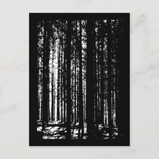 pine forest postcard (Front)