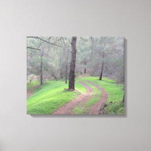 Pine Forest Road Canvas Print
