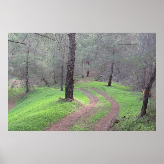 Pine Forest Road Poster (Front)