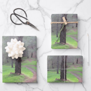 Pine Forest Road Wrapping Paper Sheet