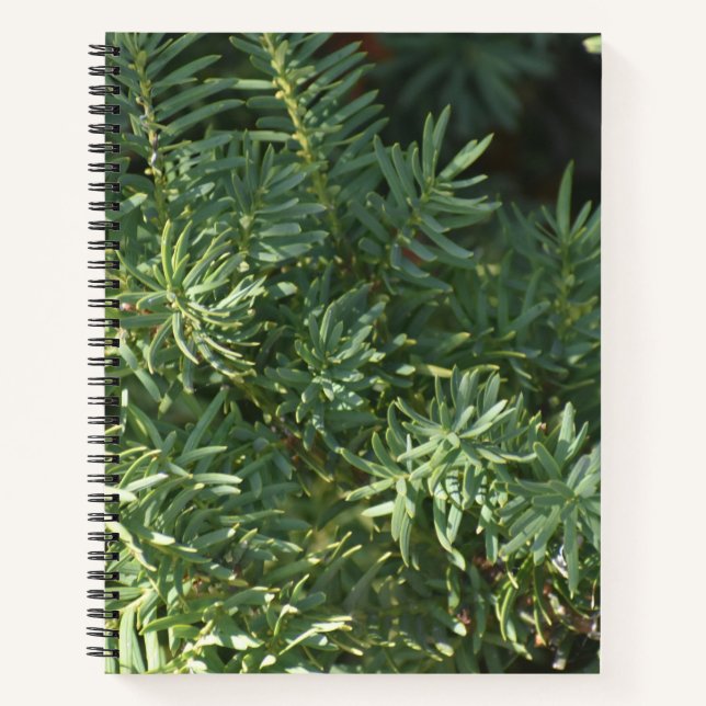 Pine Forest Spiral Notebook (Front)
