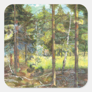 Pine forest square sticker