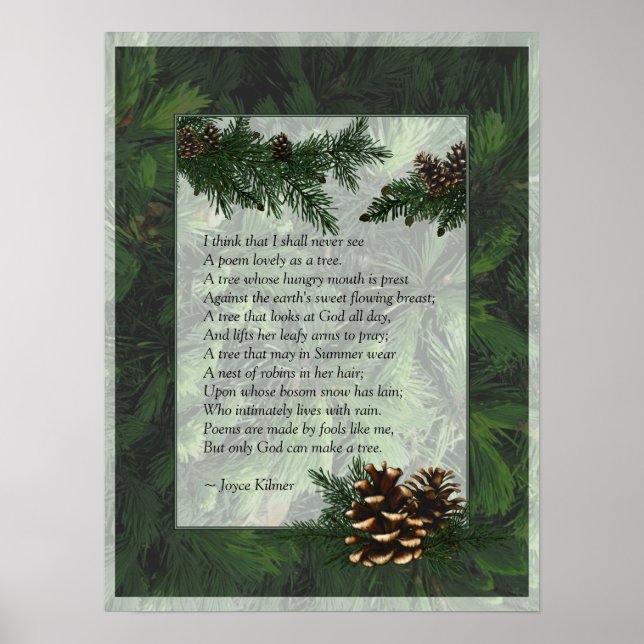 Pine Forest Trees Poster Print (Front)