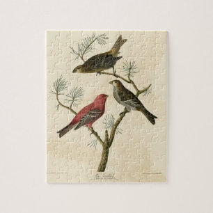 Pine Grosbeak from Audubon's Birds of America Jigsaw Puzzle