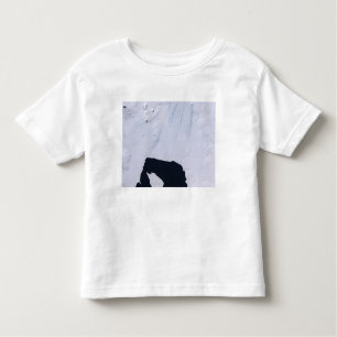 Pine Island Glacier Toddler T-Shirt