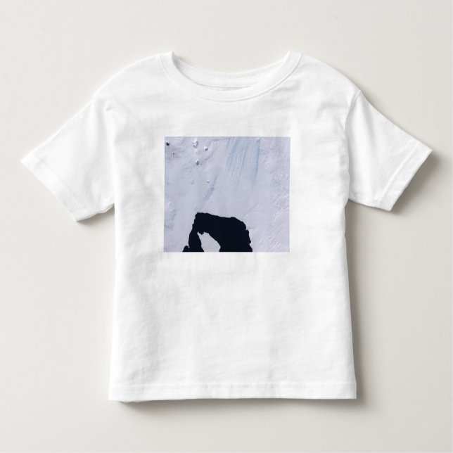 Pine Island Glacier Toddler T-Shirt (Front)